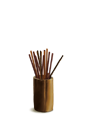 ȥ ȥߺ°